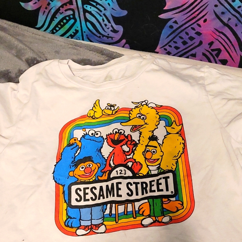 Sesame street crop top